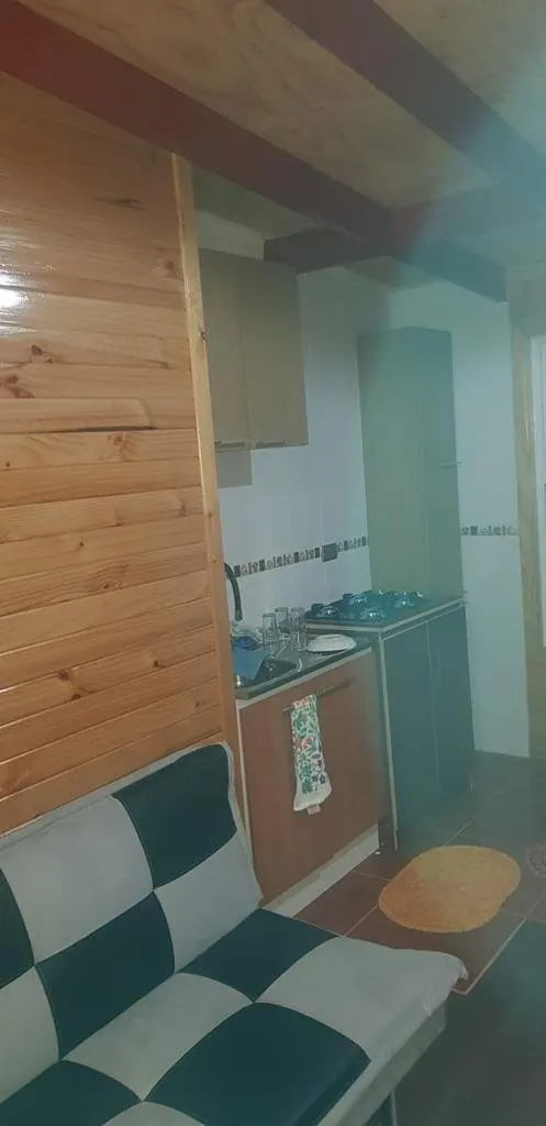Cabaña los robles Contuy — Foto 8