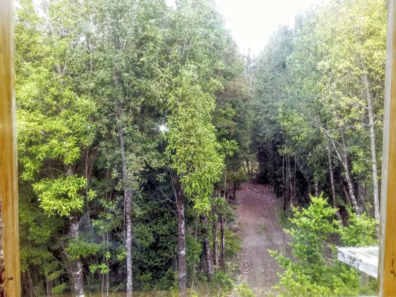 Foto 10